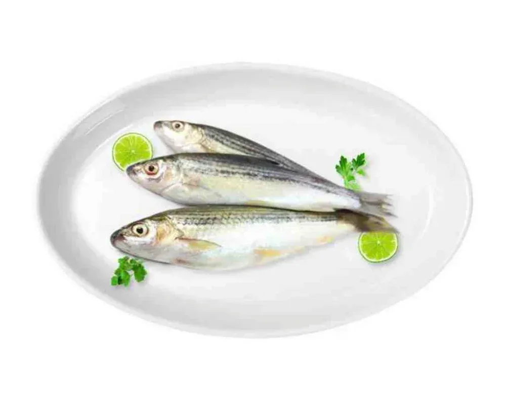 Tatkini Fresh Local Cultured