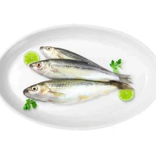 Tatkini Fresh Local Cultured
